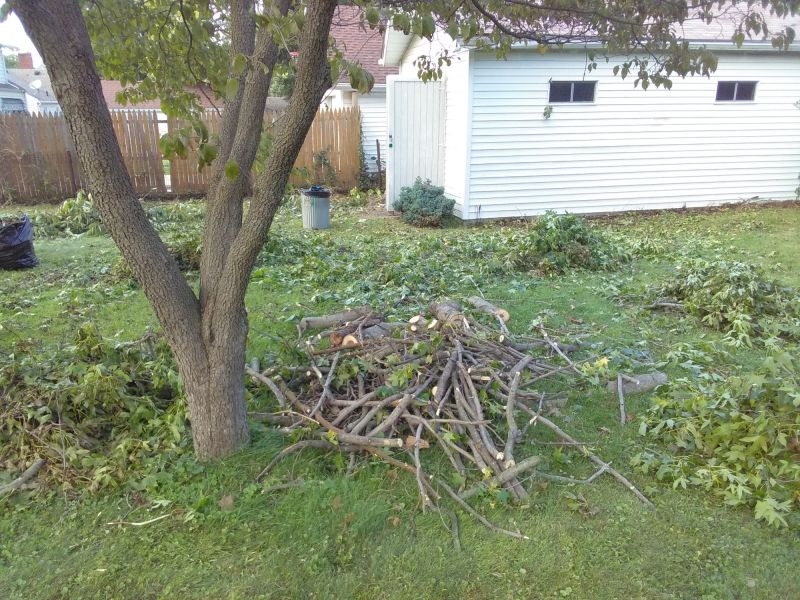 Spring Yard Cleanup in Ventura County, CA