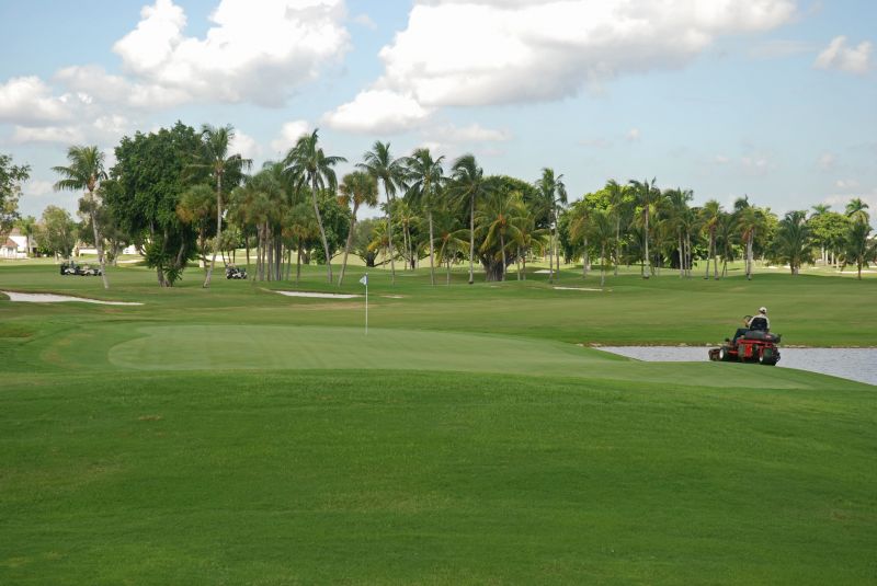 Weekly Lawn Maintenance