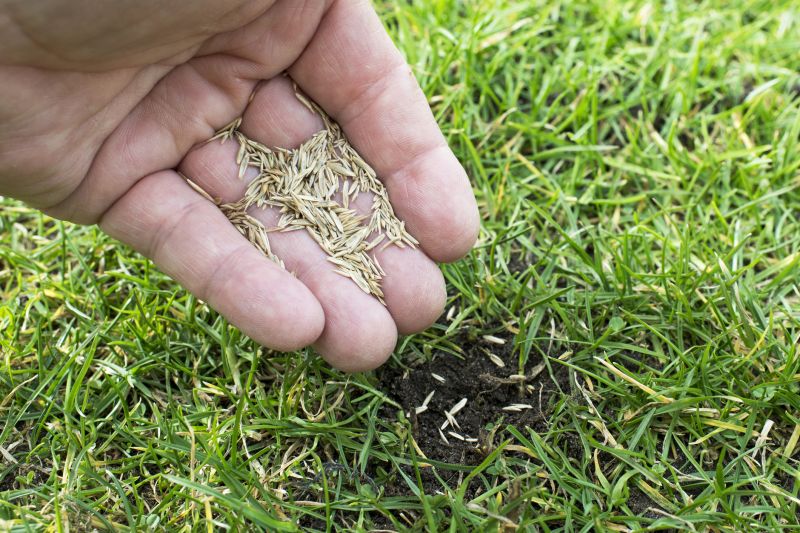 Bermuda Grass Seeding in Ventura County, CA