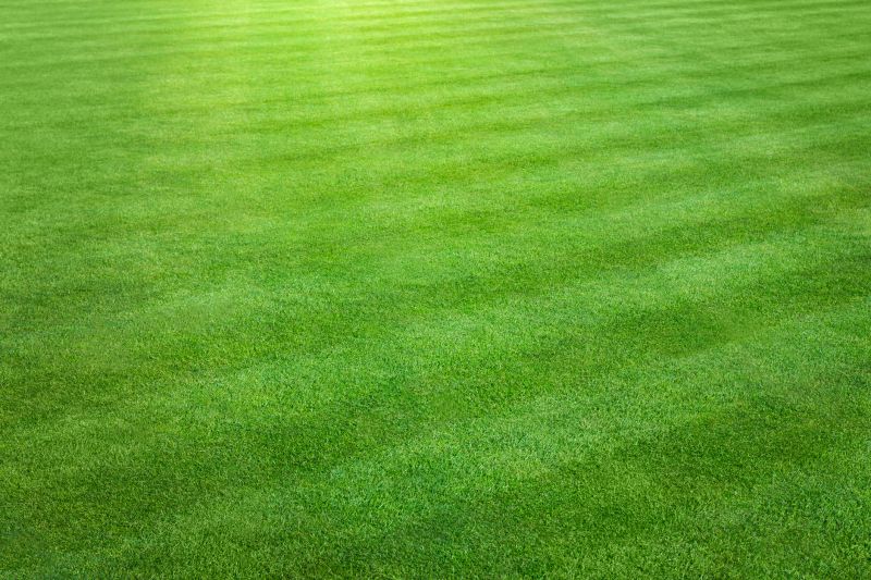 Weekly Lawn Maintenance detail