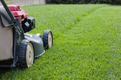 Weekly Lawn Maintenance detail