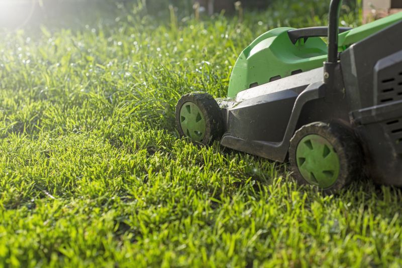 Weekly Lawn Maintenance detail