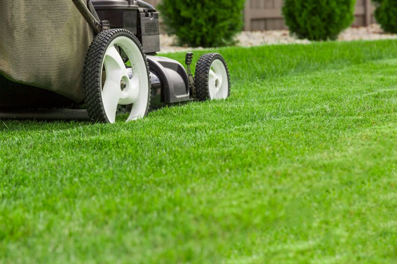 Lawn Mowing in Bowie, MD