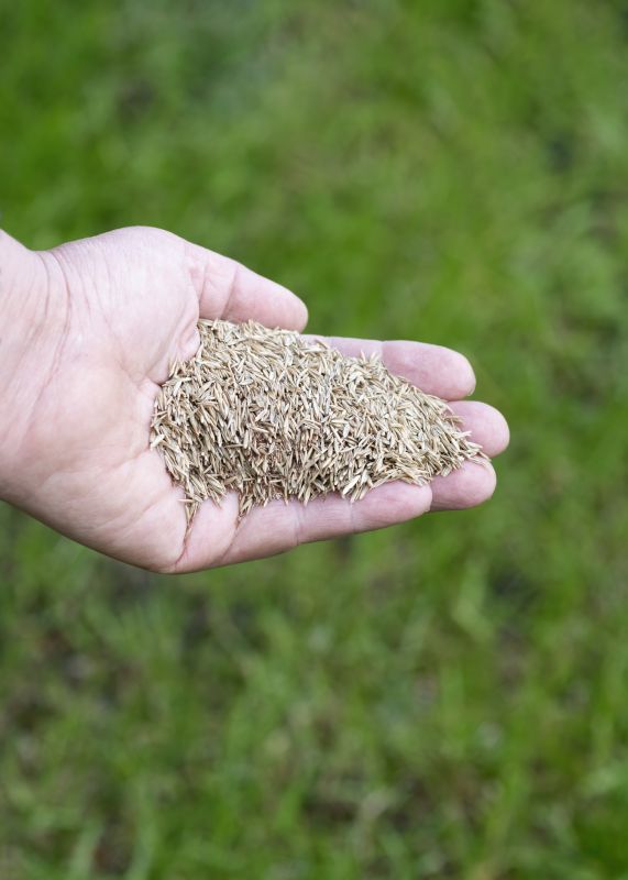 Lawn Seeding in Honolulu, HI