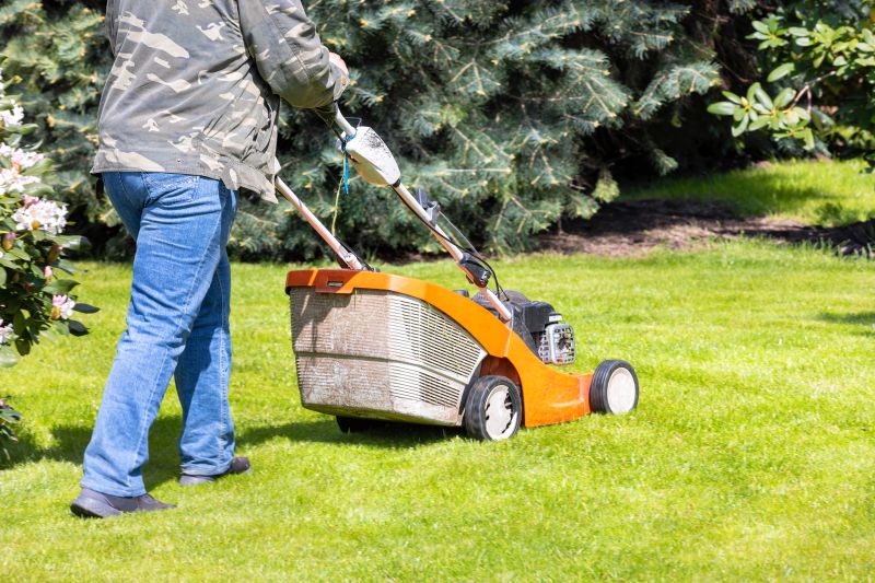 Spring Lawn Care in Bowie, MD