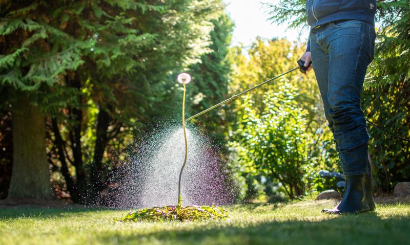 Thistle Treatment in Ventura County, CA