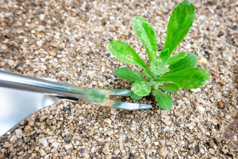 Weeding Service in Rockwall, TX