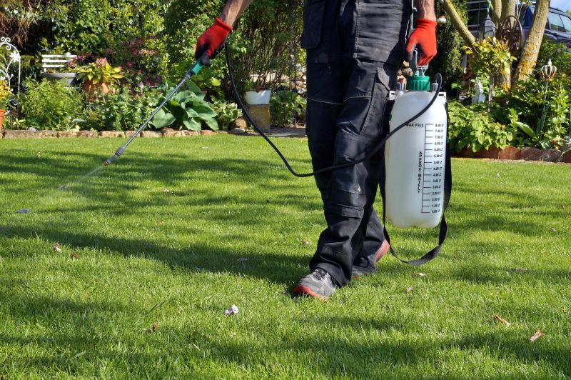 Weekly Lawn Maintenance
